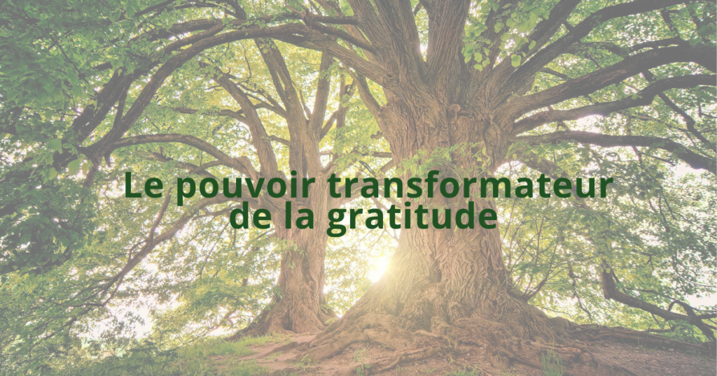 2 arbres centenaires imageant le pouvoir transformateur de la gratitude
