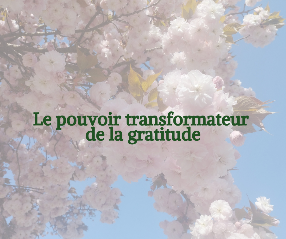 Arbre en fleurs symbolisant l’épanouissement et la transformation intérieure grâce à la gratitude