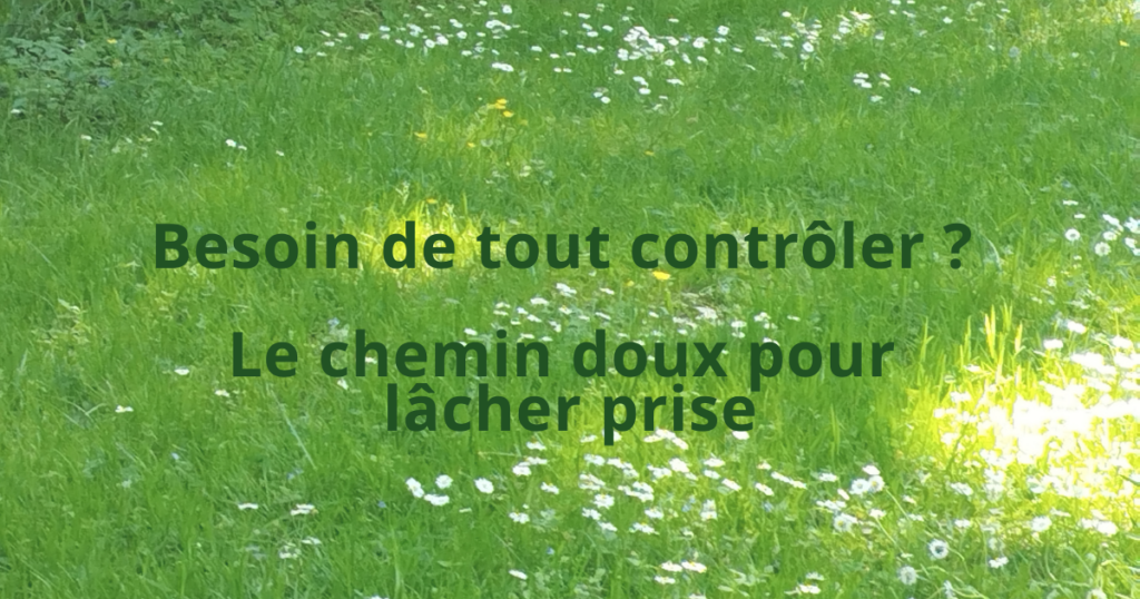 Herbe parsemée de pâquerettes, symbolisant un moment de lâcher-prise et de sécurité intérieure pour apaiser le stress
