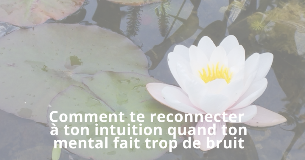 Nénuphar s'épanouissant sur une eau calme, symbolisant l'intuition qui fleurit dans le silence.